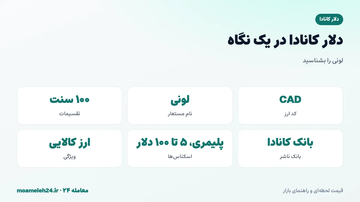 اینفوگرافیک دلار کانادا در یک نگاه؛ کد CAD، نام مستعار لونی، بانک کانادا و اسکناس های پلیمری