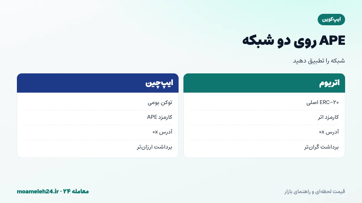 اینفوگرافیک شبکه های APE؛ ERC-20 اصلی روی اتریوم، توکن بومی ایپ چین، پل رسمی میان شبکه ها و آدرس های 0x مشابه