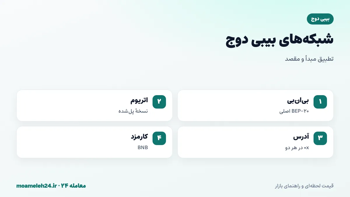 اینفوگرافیک شبکه های بیبی دوج؛ BEP-20 اصلی روی بی ان بی، نسخه پل شده روی اتریوم، نشانی 0x مشابه و کارمزد BNB