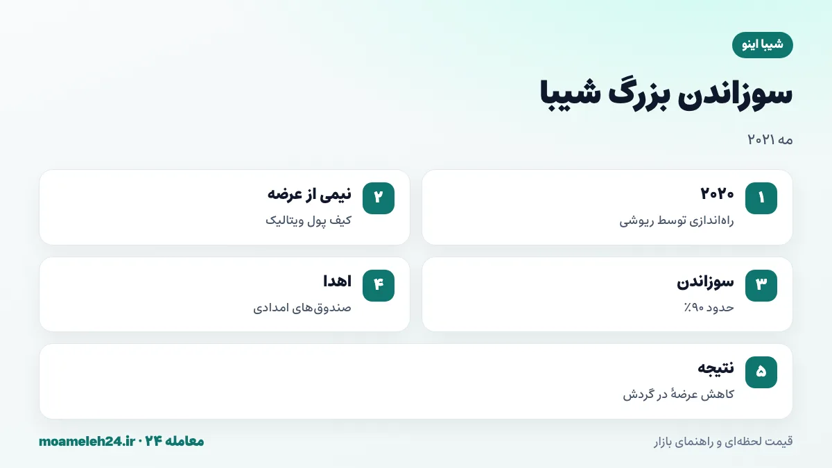 اینفوگرافیک سوزاندن شیبا توسط ویتالیک بوترین در مه دو هزار و بیست و یک؛ ارسال نیمی از عرضه به کیف پول ویتالیک، سوزاندن حدود نود درصد و اهدای بقیه به صندوق های امدادی