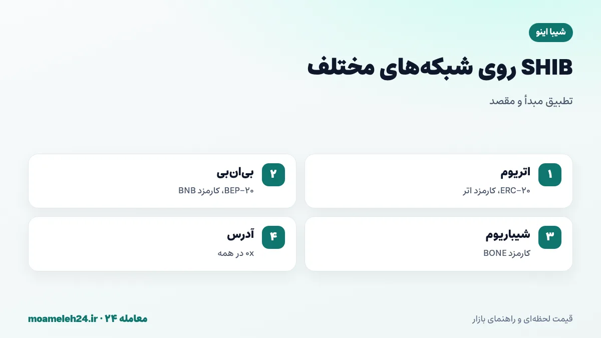 اینفوگرافیک شبکه های SHIB؛ توکن اصلی ERC-20 روی اتریوم با کارمزد اتر، نسخه BEP-20 روی بی ان بی، شیباریوم با کارمزد BONE و آدرس های 0x یکسان در ظاهر