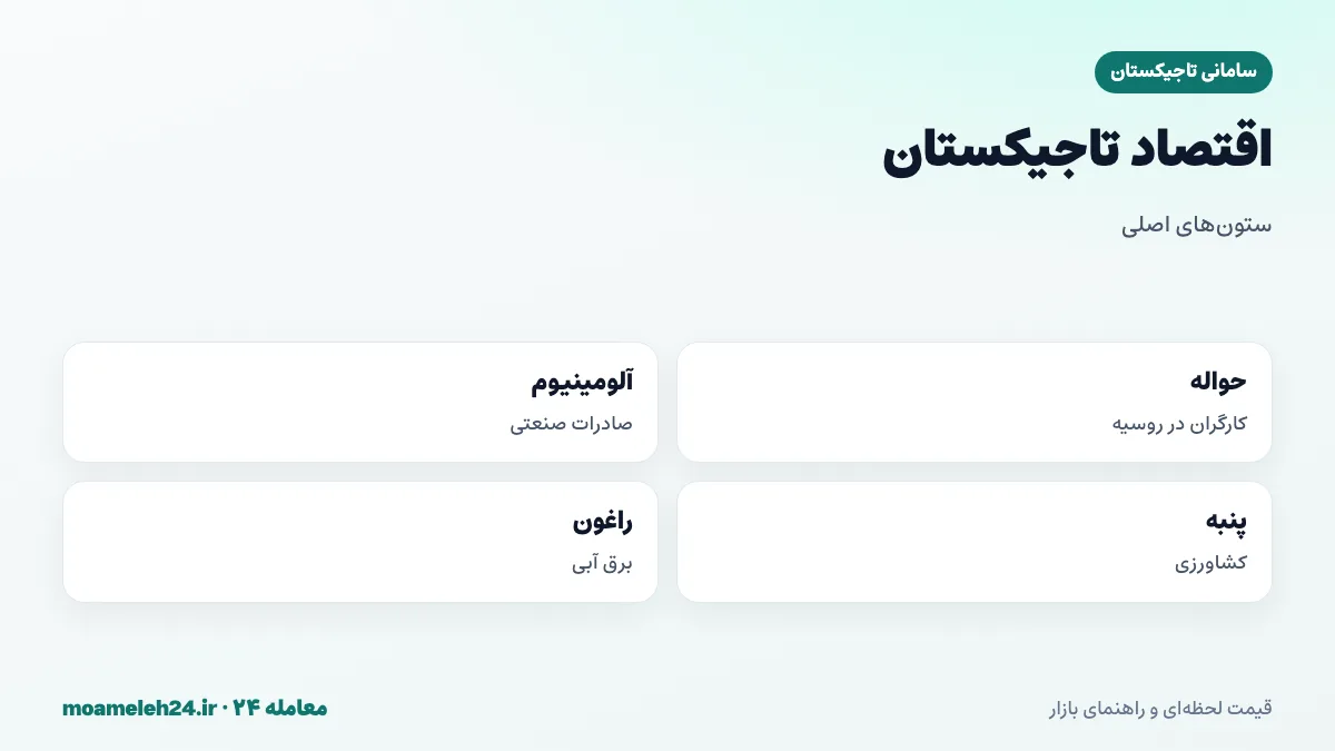 اینفوگرافیک اقتصاد تاجیکستان؛ حواله کارگران مهاجر از روسیه، صادرات آلومینیوم و پنبه، نیروگاه آبی راغون و وابستگی سامانی به روبل