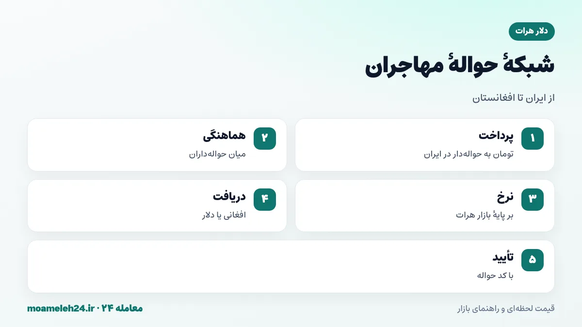 اینفوگرافیک شبکه حواله مهاجران؛ پرداخت تومان در ایران، هماهنگی حواله داران، دریافت افغانی یا دلار در افغانستان و نرخ هرات