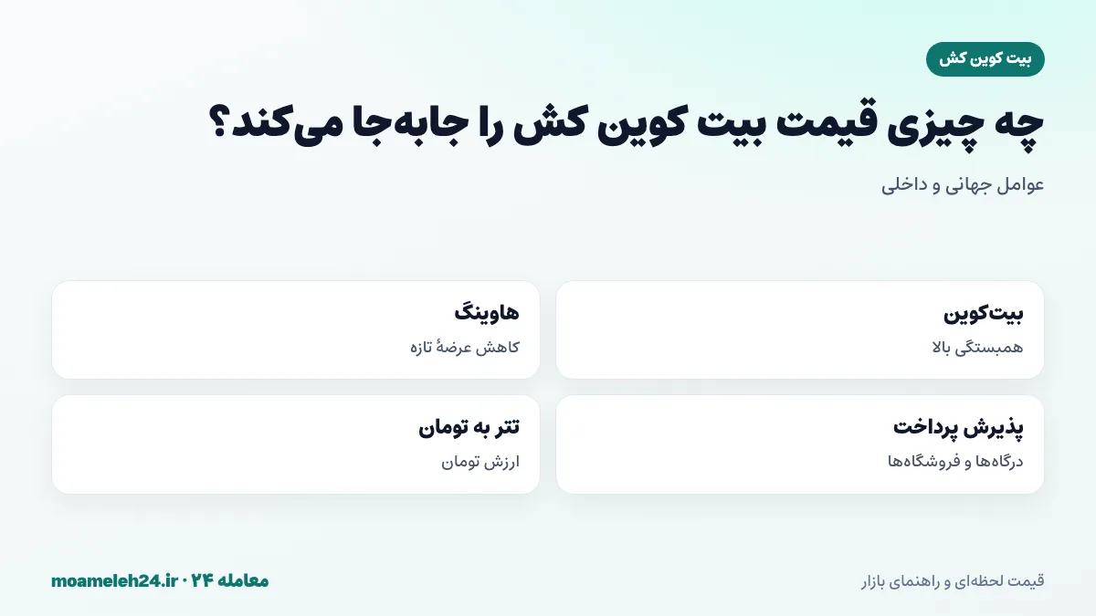 اینفوگرافیک عوامل موثر بر قیمت بیت کوین کش؛ بیت کوین، هاوینگ، پذیرش پرداخت و قیمت تتر به تومان