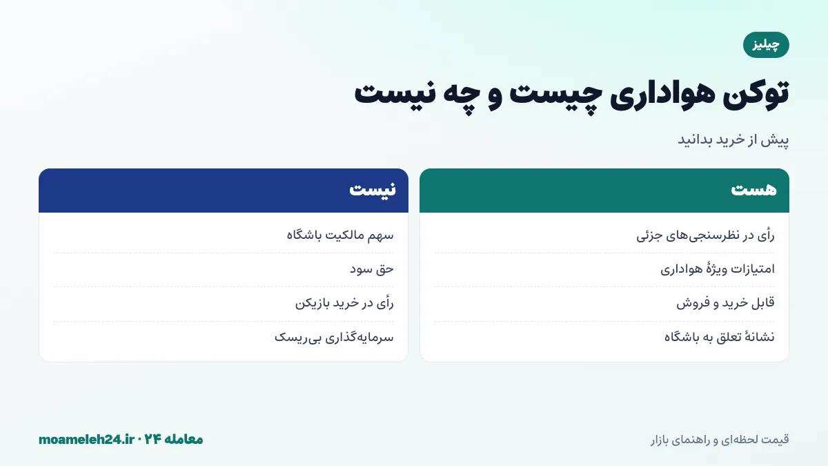 اینفوگرافیک توکن هواداری؛ رأی در نظرسنجی های باشگاه، امتیازات ویژه، خرید با چیلیز و ریسک نوسان قیمت