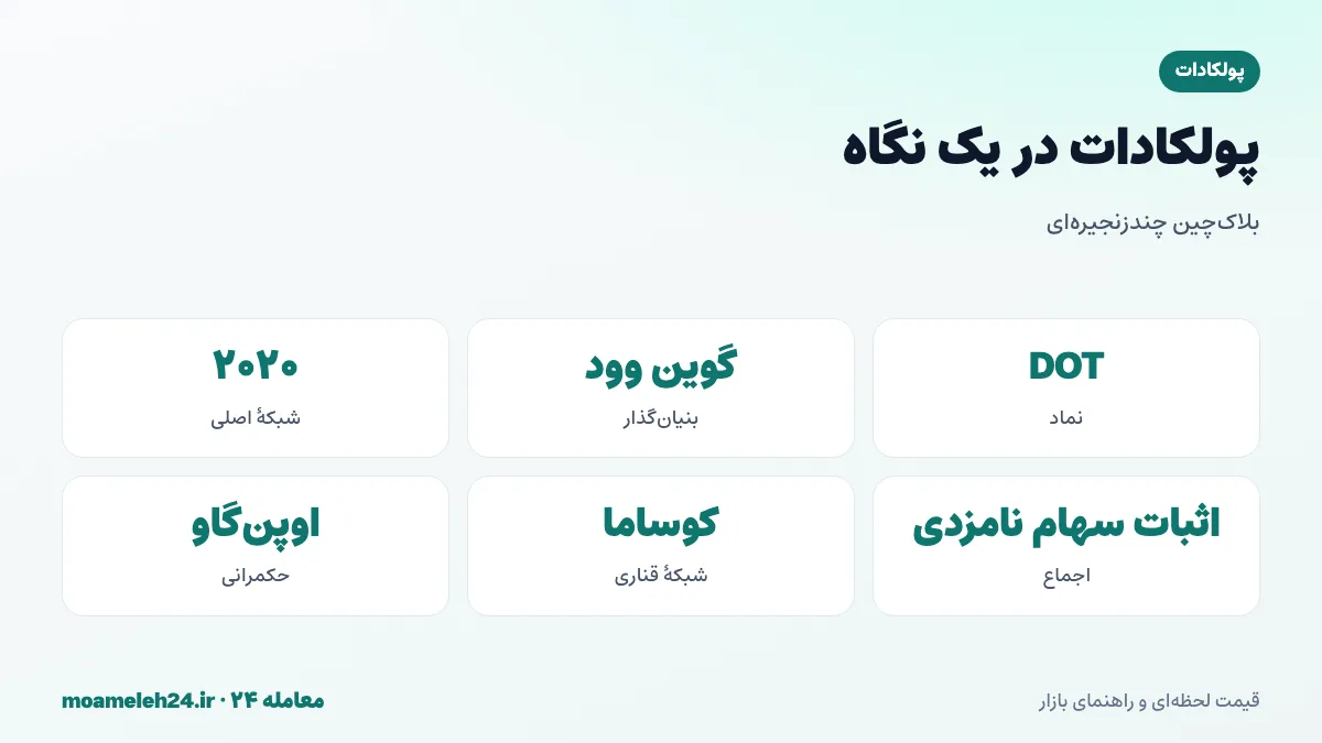 اینفوگرافیک پولکادات در یک نگاه؛ بنیان گذار گوین وود، شبکه اصلی ۲۰۲۰، زنجیره رله و پاراچین ها و اثبات سهام نامزدی