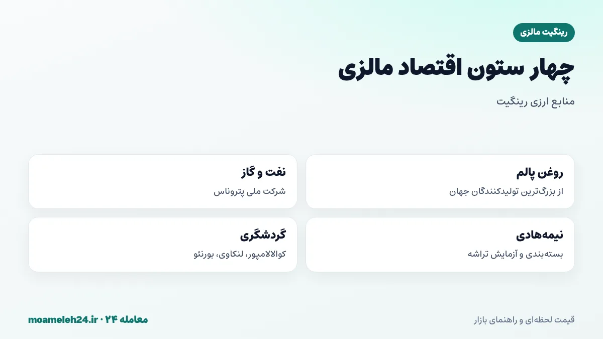 اینفوگرافیک ارکان اقتصاد مالزی شامل روغن پالم، نفت و گاز پتروناس، صنعت نیمه هادی و گردشگری