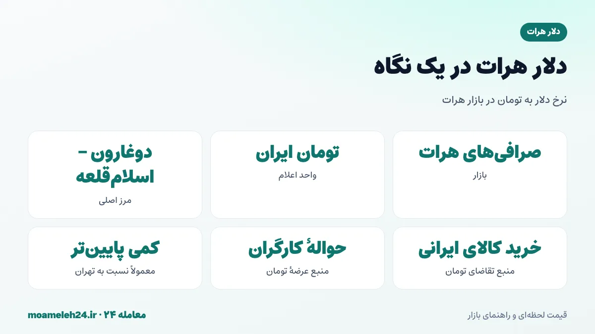 اینفوگرافیک دلار هرات در یک نگاه؛ نرخ دلار به تومان در صرافی های هرات، مرز دوغارون و جریان تومان و دلار