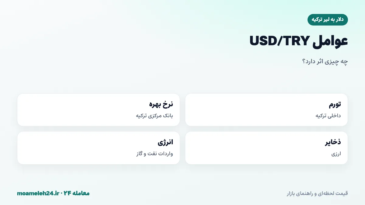 اینفوگرافیک عوامل موثر بر نرخ دلار به لیر ترکیه؛ تورم، نرخ بهره، ذخایر ارزی و انرژی